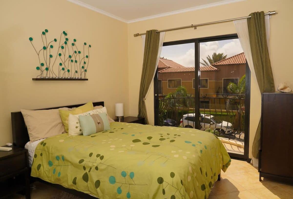 فيلا Spectacular House In Gold Coast شاطئ بالم المظهر الخارجي الصورة